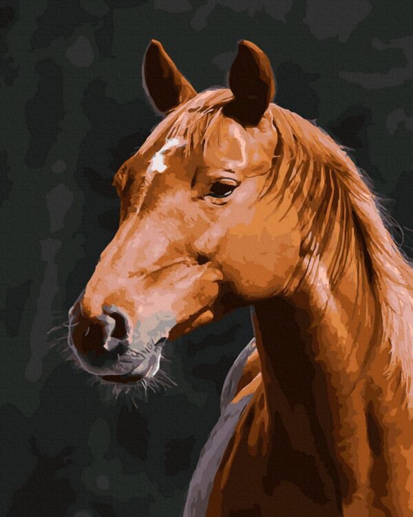 Brown horse - Image 4