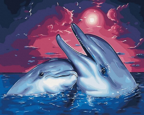 Dolphins - Image 2