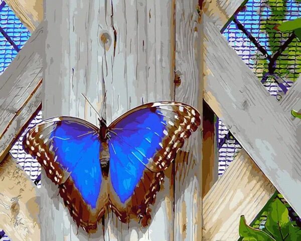 Butterfly - Image 2