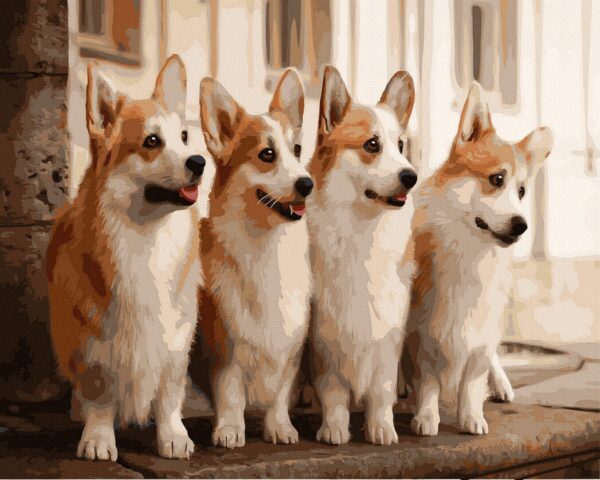 Charming corgis - Image 2