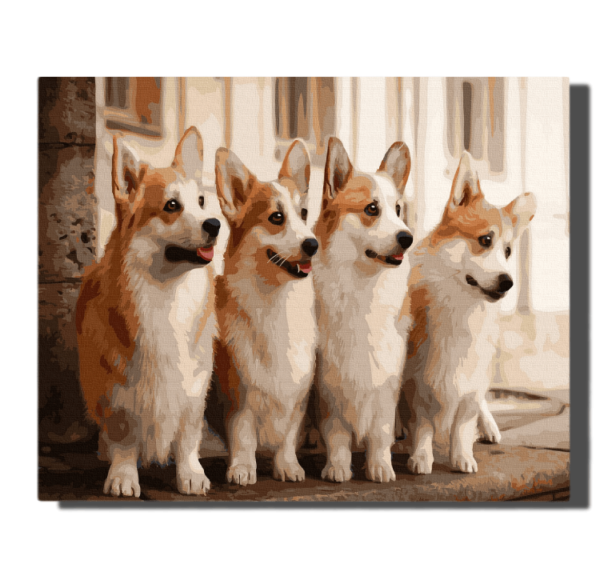 Charming corgis