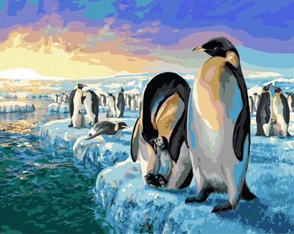 Arctic penguins - Image 2