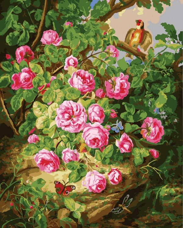 Rose bush - Image 2