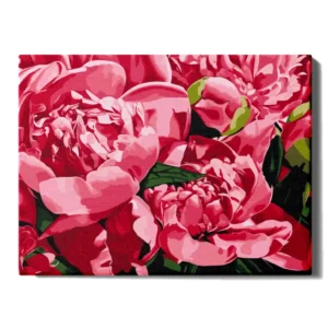 Peonijas tuvplānā