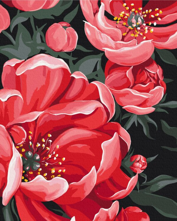 Peony flowers - Image 2