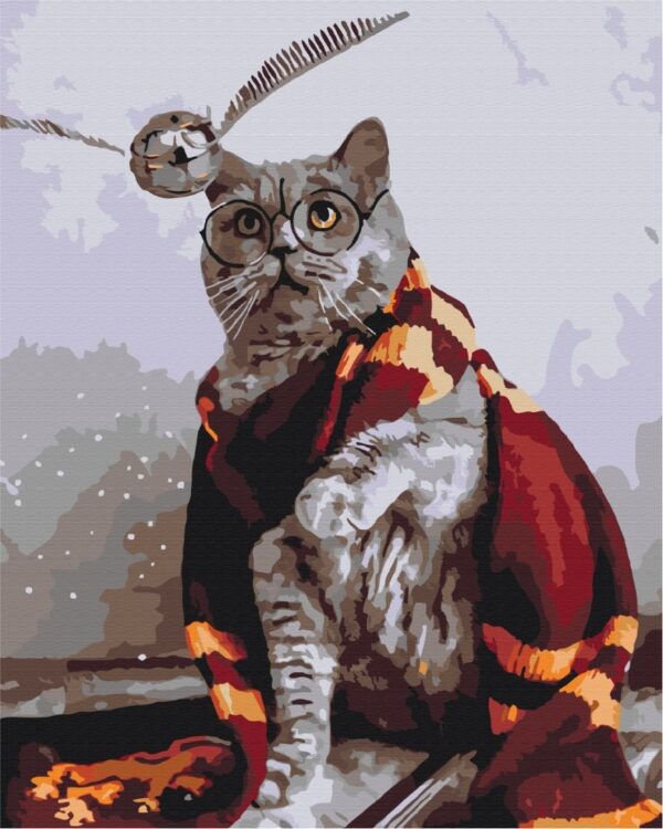 Potter the cat - Image 2