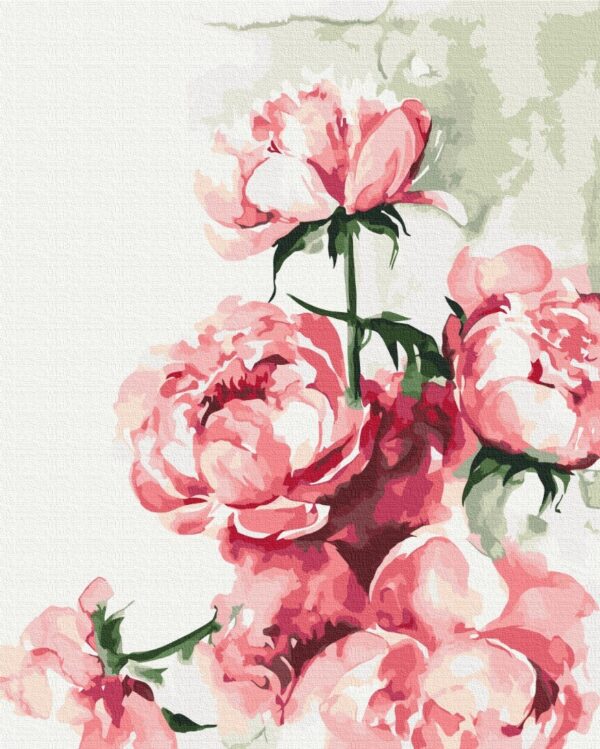 Peonies in bloom - Image 2