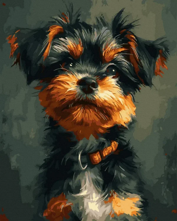 Yorkshire Terrier - Image 2