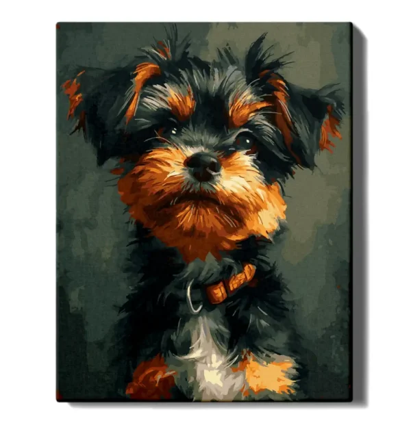 Yorkshire Terrier