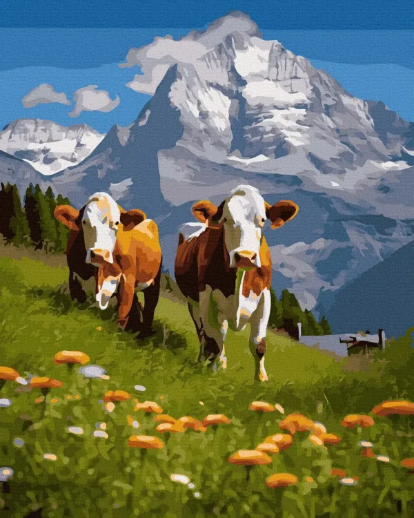 Swiss cows - Image 2