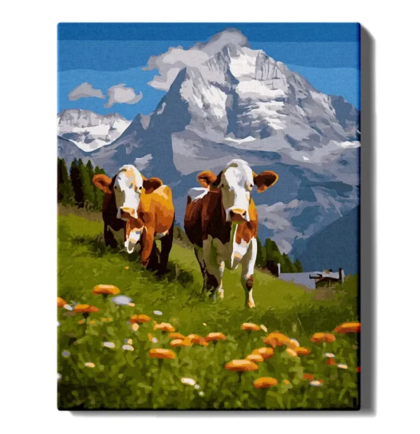 Swiss cows