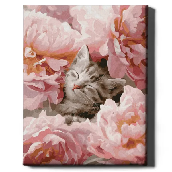 tapyba pagal skaicius kate tarp bijunu manotapyba.lt